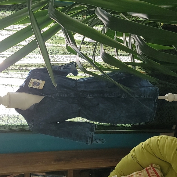 Blue Chambray Denim Shirt Dress by Mapale - Picture 3 of 7